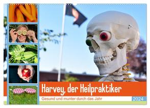 Harvey, der Heilpraktiker (Wandkalender 2024 DIN A2 quer), CALVENDO Monatskalender von Jordan,  Diane