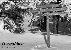 Harz-Bilder in monochrome (Tischkalender 2020 DIN A5 quer) von Levi,  Andreas