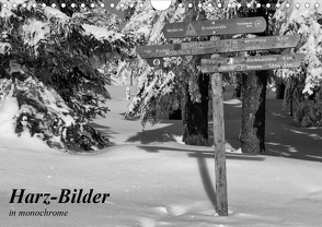 Harz-Bilder in monochrome (Wandkalender 2020 DIN A4 quer) von Levi,  Andreas