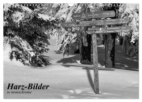 Harz-Bilder in monochrome (Wandkalender 2024 DIN A3 quer), CALVENDO Monatskalender von Levi,  Andreas