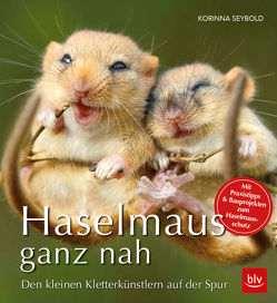 Haselmaus ganz nah von Seybold,  Korinna