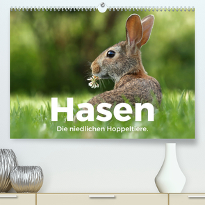 Hasen – Die niedlichen Hoppeltiere. (Premium, hochwertiger DIN A2 Wandkalender 2022, Kunstdruck in Hochglanz) von Scott,  M.