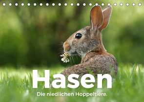 Hasen – Die niedlichen Hoppeltiere. (Tischkalender 2022 DIN A5 quer) von Scott,  M.