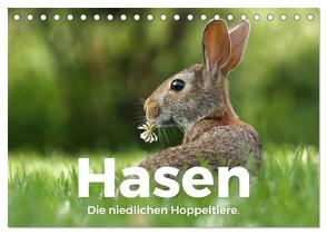 Hasen – Die niedlichen Hoppeltiere. (Tischkalender 2024 DIN A5 quer), CALVENDO Monatskalender von Scott,  M.