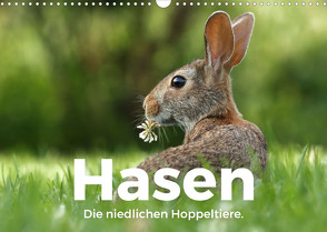 Hasen – Die niedlichen Hoppeltiere. (Wandkalender 2022 DIN A3 quer) von Scott,  M.