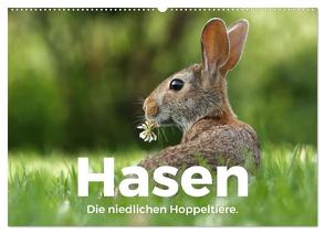 Hasen – Die niedlichen Hoppeltiere. (Wandkalender 2024 DIN A2 quer), CALVENDO Monatskalender von Scott,  M.