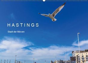 HASTINGS – Stadt der Möwen (Wandkalender 2019 DIN A2 quer) von Lobisch-Delija,  Michael