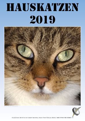 Hauskatzen 2019 von Schmölzl,  Hubert