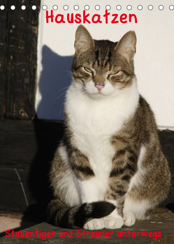 Hauskatzen (Tischkalender 2023 DIN A5 hoch) von Lindert-Rottke,  Antje