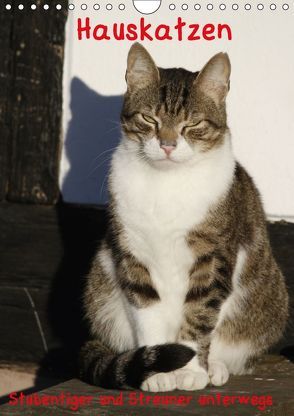 Hauskatzen (Wandkalender 2018 DIN A4 hoch) von Lindert-Rottke,  Antje