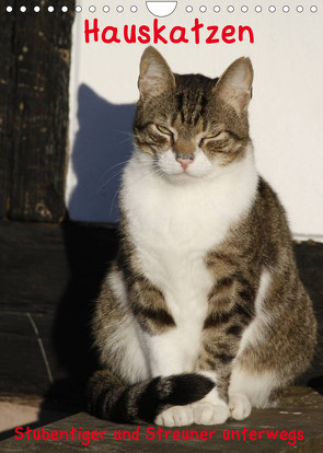 Hauskatzen (Wandkalender 2022 DIN A4 hoch) von Lindert-Rottke,  Antje