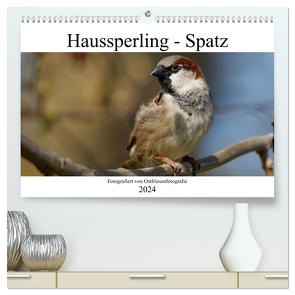 Haussperling – Spatz fotografiert von Ostfriesenfotografie (hochwertiger Premium Wandkalender 2024 DIN A2 quer), Kunstdruck in Hochglanz von Betten - Ostfriesenfotografie,  Christina