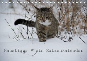 Haustiger – Ein Katzenkalender (Tischkalender 2022 DIN A5 quer) von Becker,  J.