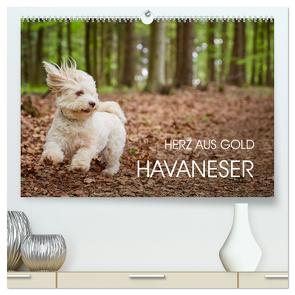 Havaneser – Herz aus Gold (hochwertiger Premium Wandkalender 2024 DIN A2 quer), Kunstdruck in Hochglanz von Mayer,  Peter