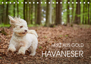 Havaneser – Herz aus Gold (Tischkalender 2023 DIN A5 quer) von Mayer,  Peter