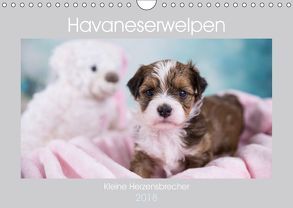 Havaneserwelpen – Kleine Herzensbrecher (Wandkalender 2018 DIN A4 quer) von Tauschnik,  Nicole