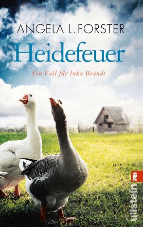 Heidefeuer von Forster,  Angela L.