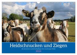 Heidschnucken und Ziegen die tierischen Landschaftspfleger der Lüneburger Heide (Wandkalender 2024 DIN A3 quer), CALVENDO Monatskalender von Lorenzen-Müller,  Sandra