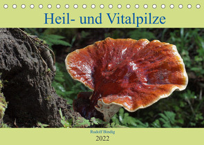 Heil- und Vitalpilze (Tischkalender 2022 DIN A5 quer) von Bindig,  Rudolf