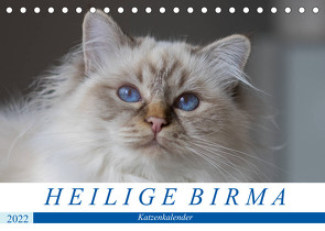 Heilige Birma Katzenkalender (Tischkalender 2022 DIN A5 quer) von Münch,  Michaela