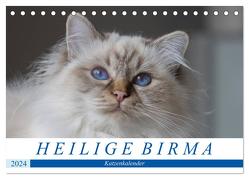 Heilige Birma Katzenkalender (Tischkalender 2024 DIN A5 quer), CALVENDO Monatskalender von Münch,  Michaela