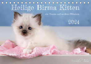 Heilige Birma Kitten – ein Traum auf weißen Pfötchen (Tischkalender 2024 DIN A5 quer), CALVENDO Monatskalender von Thoms,  Michaela