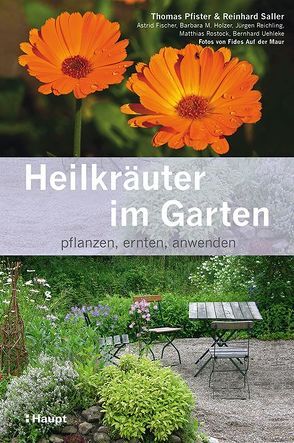 Heilkräuter im Garten von Auf der Maur,  Fides, Fischer,  Astrid, Holzer,  Barbara M., Pfister,  Thomas, Reichling,  Jürgen, Rostock,  Matthias, Saller,  Reinhard, Uehleke,  Bernhard