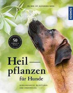 Heilpflanzen für Hunde von Nadig,  Alexandra