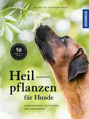 Heilpflanzen für Hunde von Nadig,  Alexandra