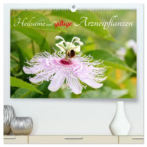 Heilsame und giftige Arzneipflanzen (hochwertiger Premium Wandkalender 2024 DIN A2 quer), Kunstdruck in Hochglanz von Kruse,  Gisela