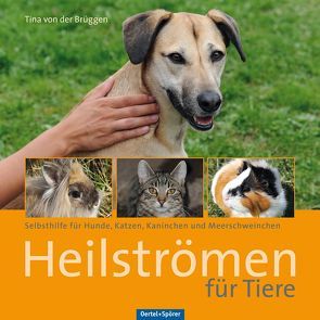 Heilströmen für Tiere von von der Brüggen,  Tina