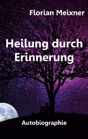 Heilung durch Erinnerung von Meixner,  Florian