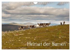 Heimat der Samen (Wandkalender 2024 DIN A4 quer), CALVENDO Monatskalender von Antoniewski,  Torsten