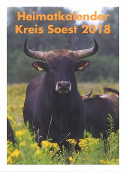 Heimatkalender Kreis Soest von Dr. Kracht,  Peter