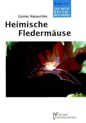 Heimische Fledermäuse von Natuschke,  Günter