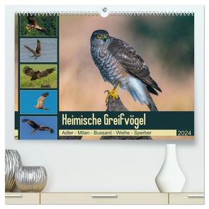 Heimische GREIFVÖGEL Adler Milan Bussard Weihe Sperber (hochwertiger Premium Wandkalender 2024 DIN A2 quer), Kunstdruck in Hochglanz von Wünsche,  Arne