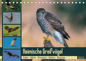 Heimische GREIFVÖGEL Adler Milan Bussard Weihe Sperber (Tischkalender 2023 DIN A5 quer) von Wünsche,  Arne