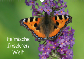 Heimische Insekten Welten (Wandkalender 2020 DIN A3 quer) von kattobello