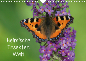 Heimische Insekten Welten (Wandkalender 2021 DIN A4 quer) von kattobello