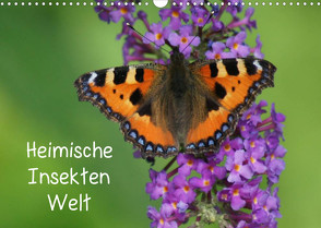 Heimische Insekten Welten (Wandkalender 2023 DIN A3 quer) von kattobello