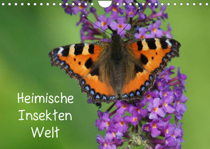 Heimische Insekten Welten (Wandkalender 2023 DIN A4 quer) von kattobello