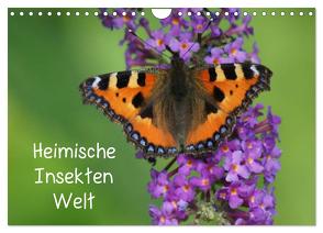 Heimische Insekten Welten (Wandkalender 2024 DIN A4 quer), CALVENDO Monatskalender von Kattobello,  Kattobello