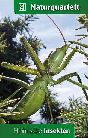 Heimische Insekten von Quelle & Meyer Verlag GmbH