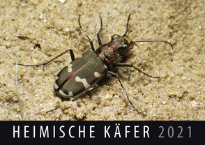 Heimische Käfer 2021 von Quelle & Meyer Verlag