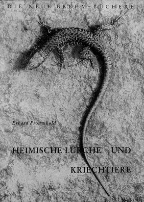 Heimische Lurche und Kriechtiere von Frommhold,  Erhard