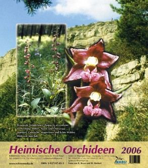 Heimische Orchideen III (2006) von Beyer,  R, Markert,  W