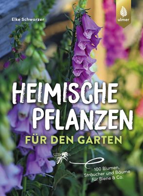 Heimische Pflanzen für den Garten von Schwarzer,  Elke