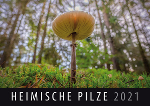 Heimische Pilze 2021 von Quelle & Meyer Verlag