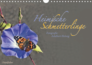 Heimische Schmetterlinge (Wandkalender 2021 DIN A4 quer) von Helwig,  Adalbert