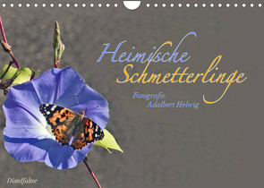 Heimische Schmetterlinge (Wandkalender 2022 DIN A4 quer) von Helwig,  Adalbert